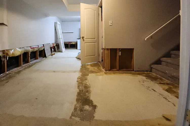 insurance-flood-restoration-06-rebuilt-basement-bathroom-glass-shower